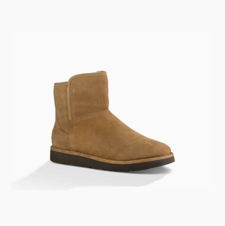 UGG Abree Mini - Boots Dame - Khaki (NO-Q879)